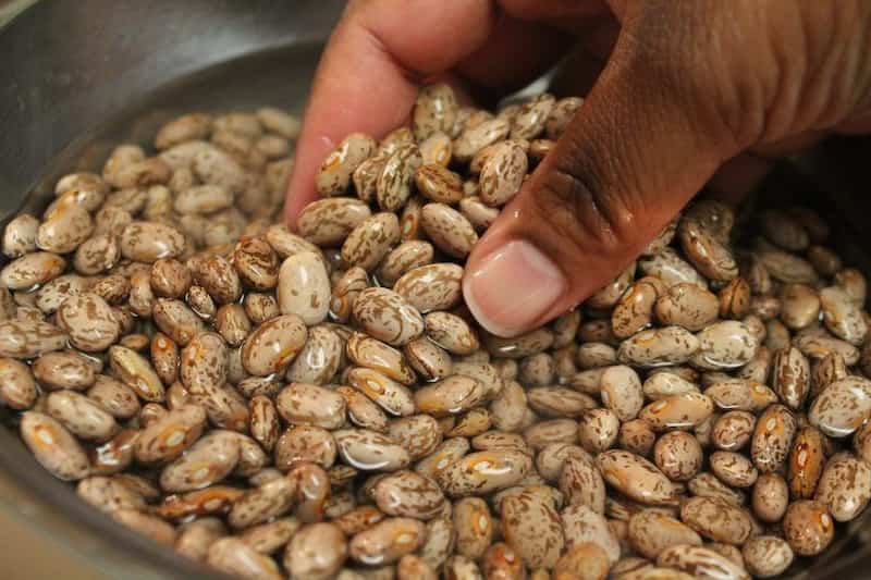 خرید و قیمت لوبیا چیتی غفار + فروش صادراتی